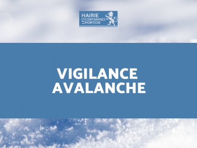 Vigilance Avalanche - site