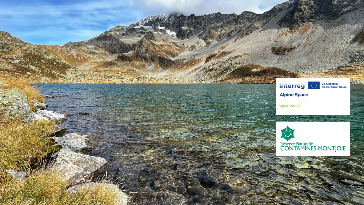 Appel à volontaires Réserve naturelle - slider