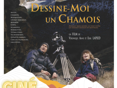 Capture affiche cine plein air 22072025