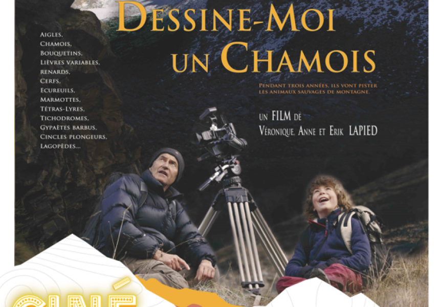 Capture affiche cine plein air 22072025