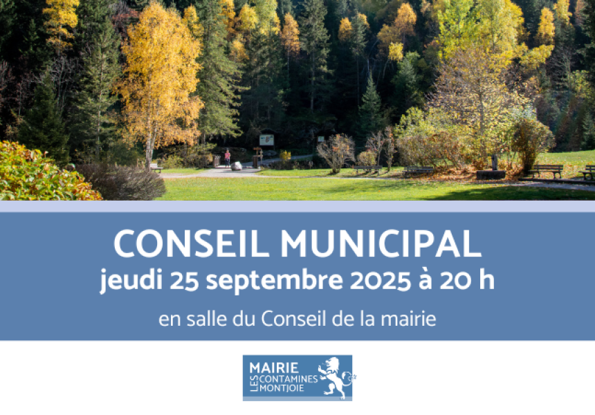 Lumiplan Conseil municipal 250925