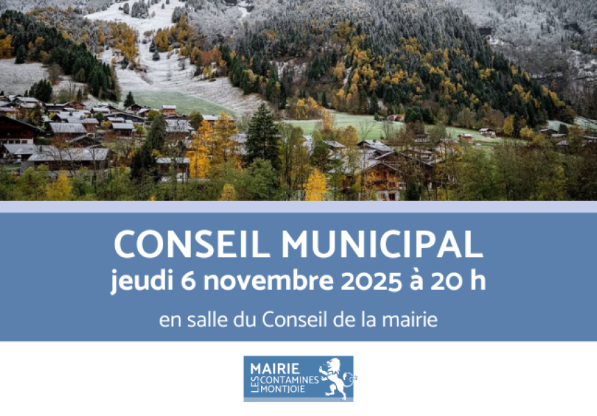 Lumiplan Conseil municipal 6-11-2025