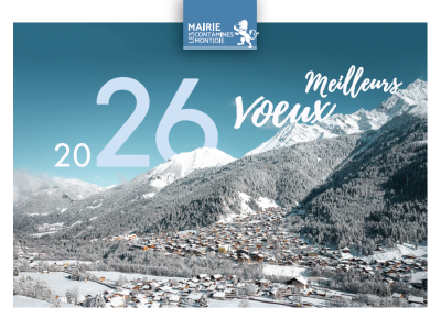 Meilleurs voeux 2026