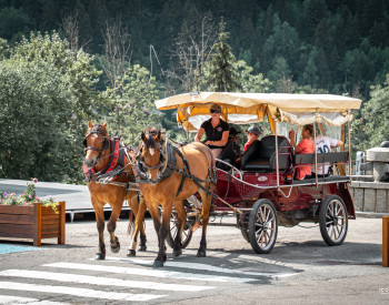 Navettes Hippomobiles - photo Les Contamines Tourisme-9