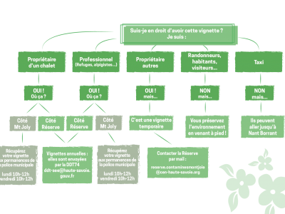 schema-vignette