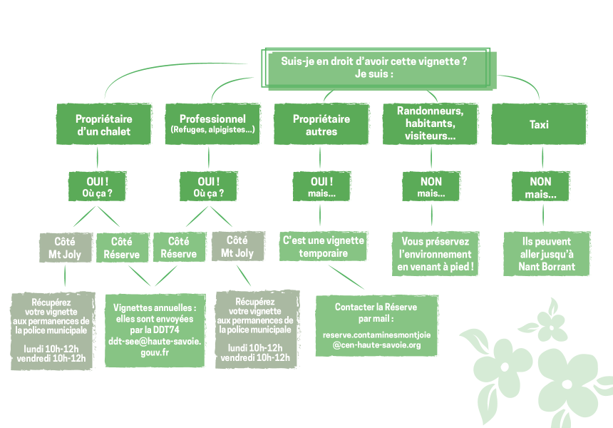 schema-vignette