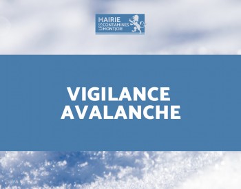 Vigilance Avalanche - site