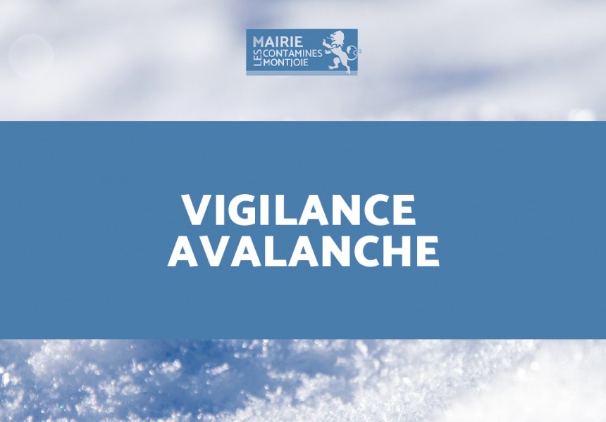 Vigilance Avalanche - site